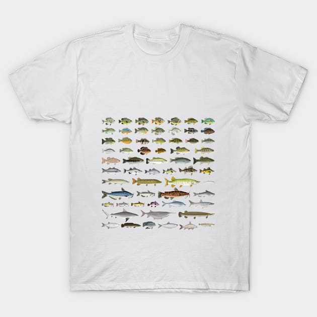 North America Freshwater Fish Group T-Shirt by FishFolkArt